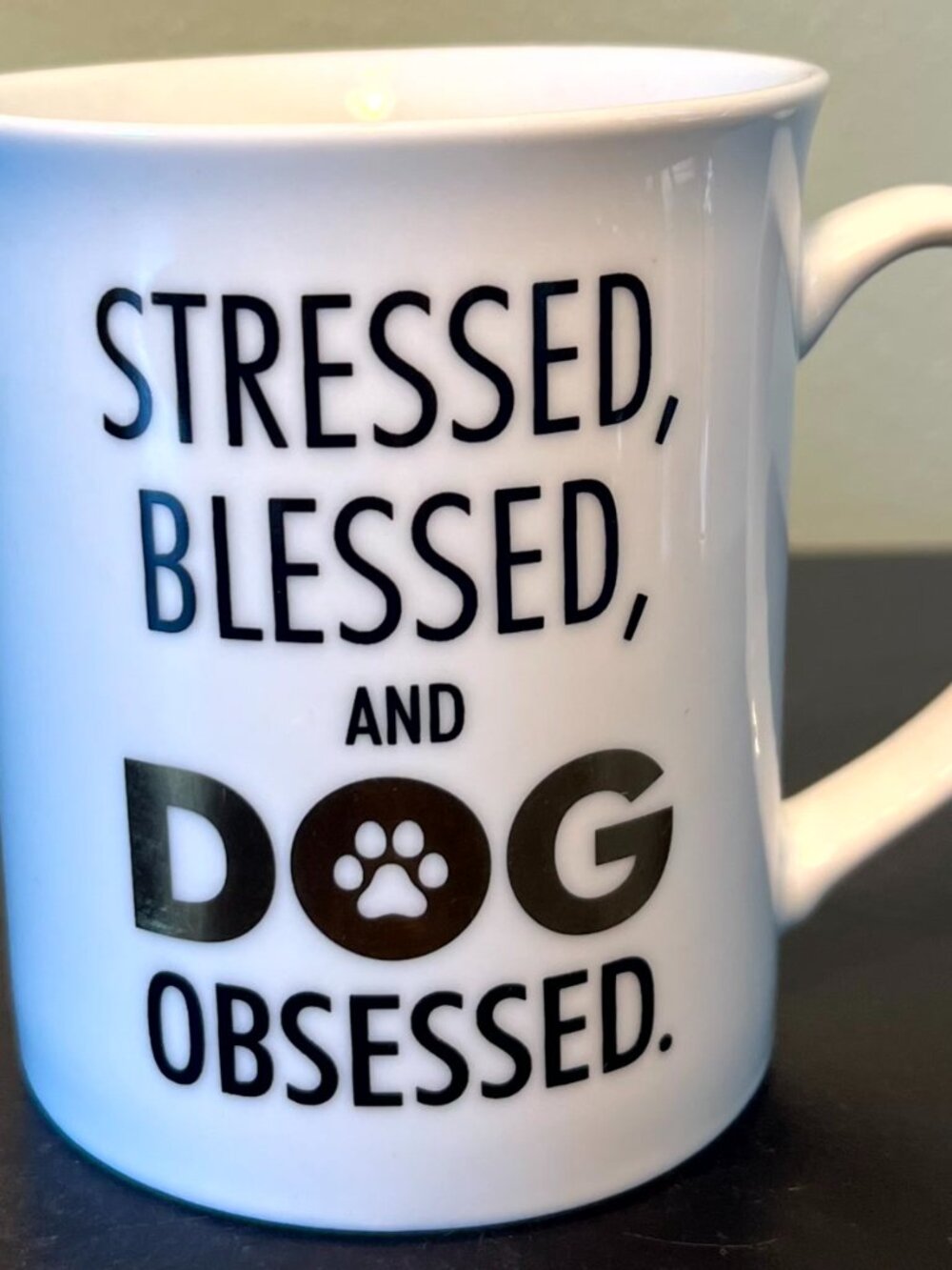 Fringe Studio Stressed Blessed And Dog Obsessed Coffee Cup Mug Metallic Gold